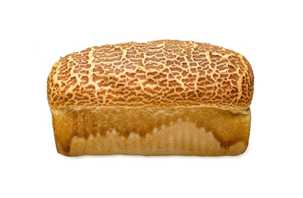 Tijger